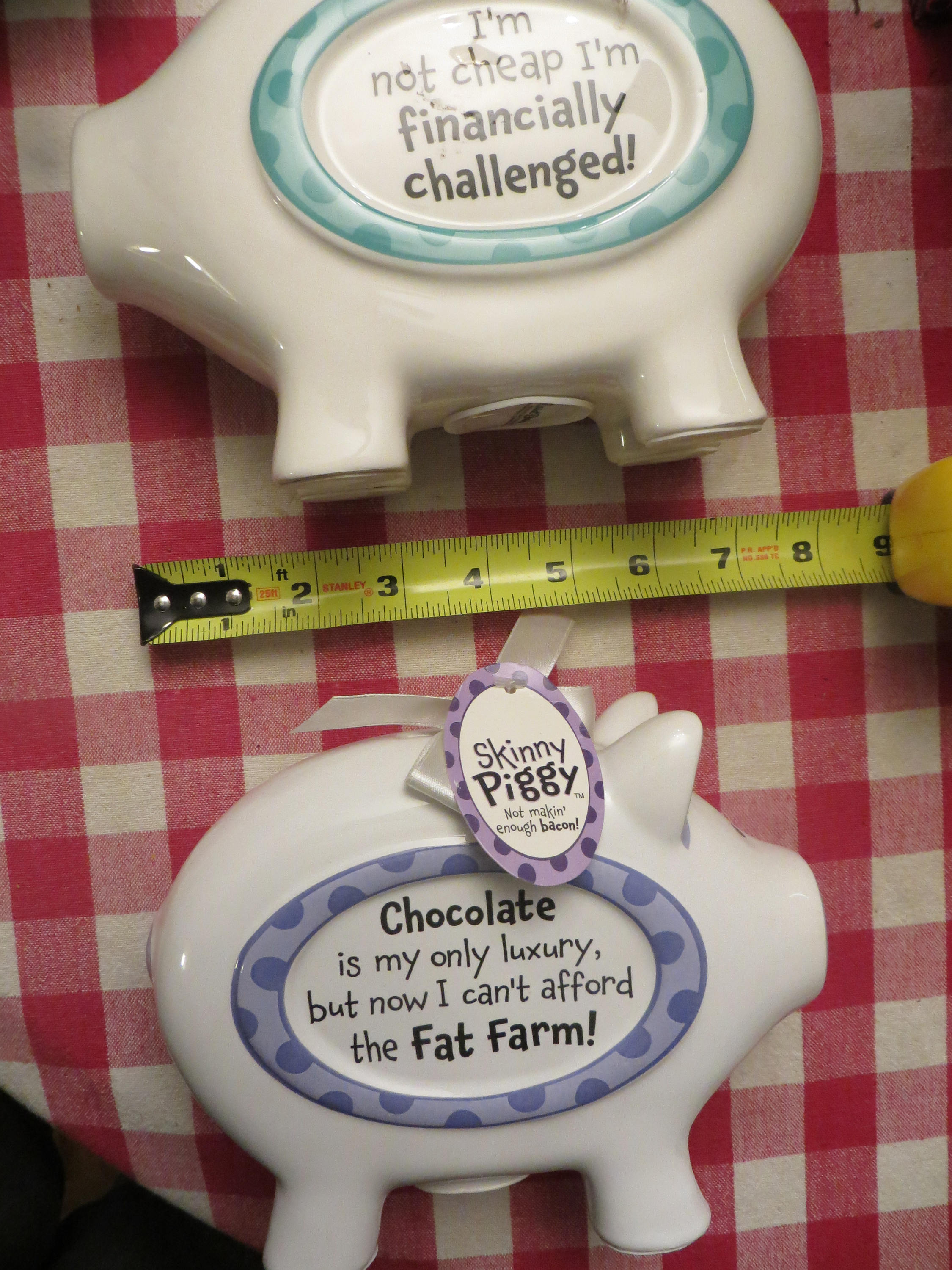 Skinny Piggy Banks Ceramic I'm Not Cheap I'm Etsy