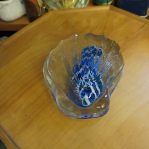 Art glass sea shell murano type hand blown paperweight sculpture