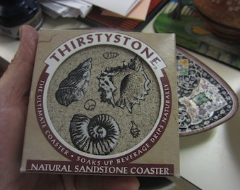 Sea Shell Thirstystone Sandstone 4 Coaster Set