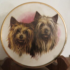 Vintage Yorkshire Terrier English Ironstone England Collectors Plate