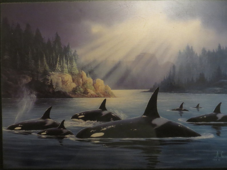 Anthony Casey Ceramic Whale Tile Art Whales w free ship