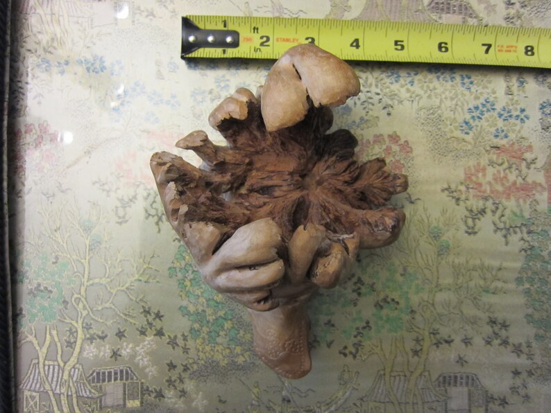 Driftwood Frog Sculpture 7 carved