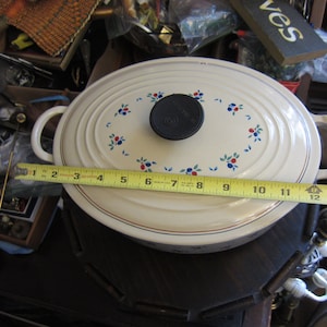 Le Creuset Petite Fruit Signature Enameled Cast Iron Oval Dutch Oven 4 1/2 - 5 QT
