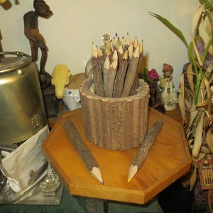 Colored Twig Pencils w/ Container,