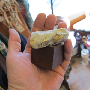 Crystal Paperweight, Wood Base, Fossil Healing Stone