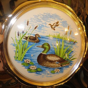 Puede incluir: Un plato redondo de cer&aacute;mica blanca con un borde dorado presenta una escena pintada de dos patos nadando en un estanque con juncos verdes y nen&uacute;fares blancos. El plato es perfecto para exhibir o servir aperitivos.