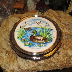 Puede incluir: Un plato redondo de cer&aacute;mica con un borde plateado presenta una escena azul y verde de patos nadando en un estanque con juncos y nen&uacute;fares.