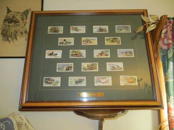 cigarette card sets Amazon.com: A History of Cigarette and Trade Cards: The Magic Inside the  Packet: 9781526721747: Broom, John: Books