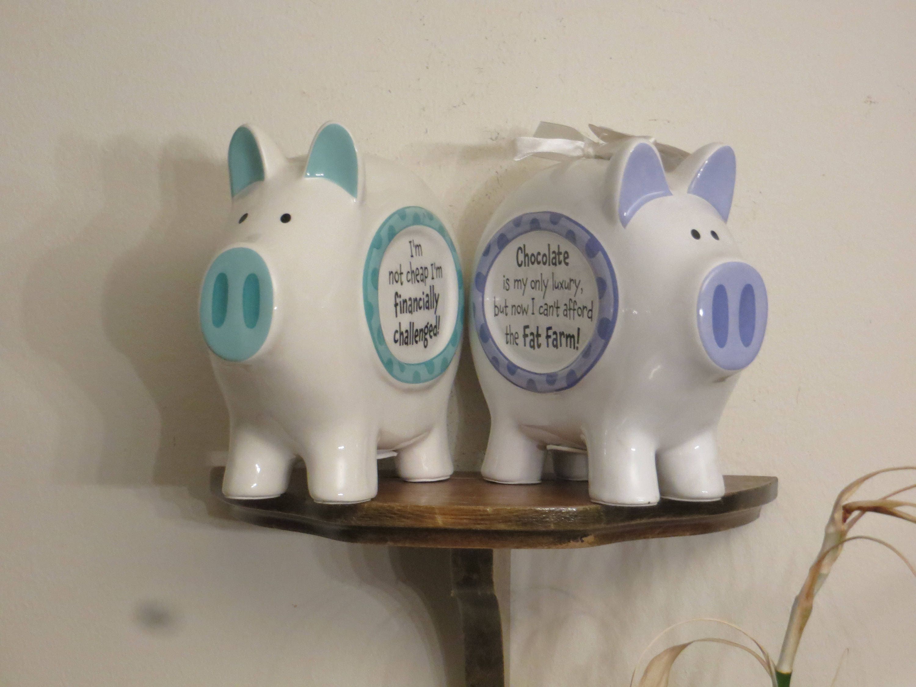 Skinny Piggy Banks Ceramic I'm Not Cheap I'm Etsy