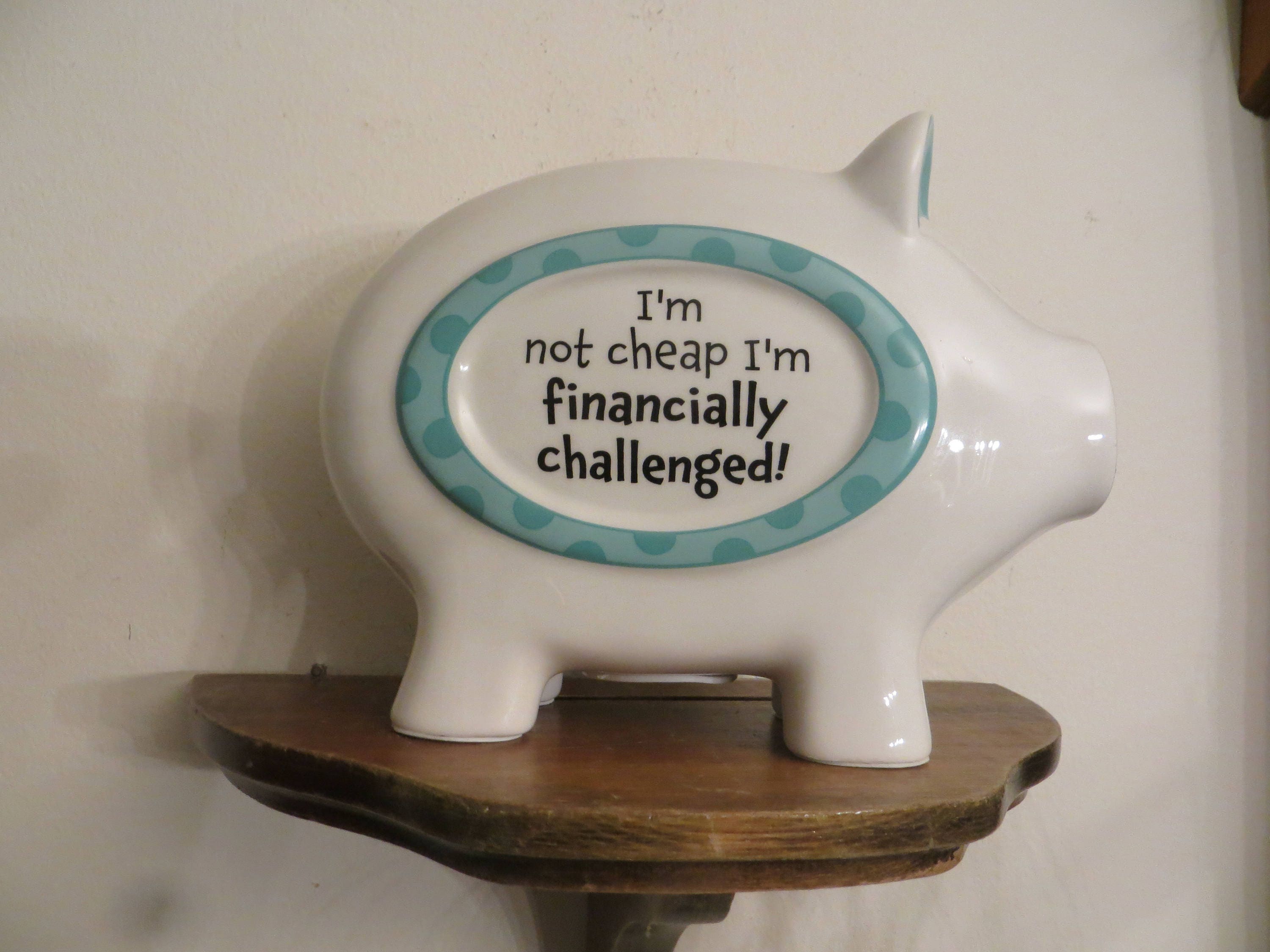Skinny Piggy Banks Ceramic I'm Not Cheap I'm Etsy