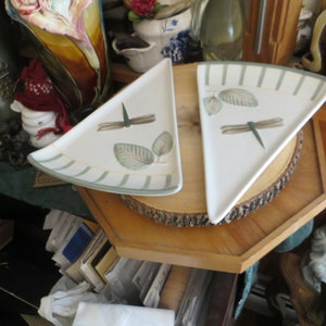 Pfaltzgraff Perennial Naturewood Pizza Appetizer Party Plates