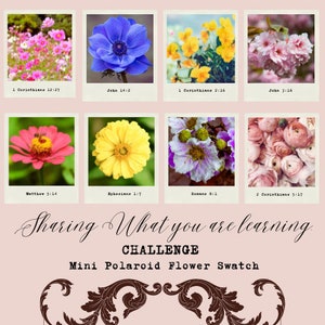 Peut inclure: Un collage de huit photos de style Polaroid représentant différents types de fleurs, chacune avec un verset biblique imprimé en dessous. Le texte "Sharing What you are learning. CHALLENGE Mini Polaroid Flower Swatch" est imprimé sous les photos.
