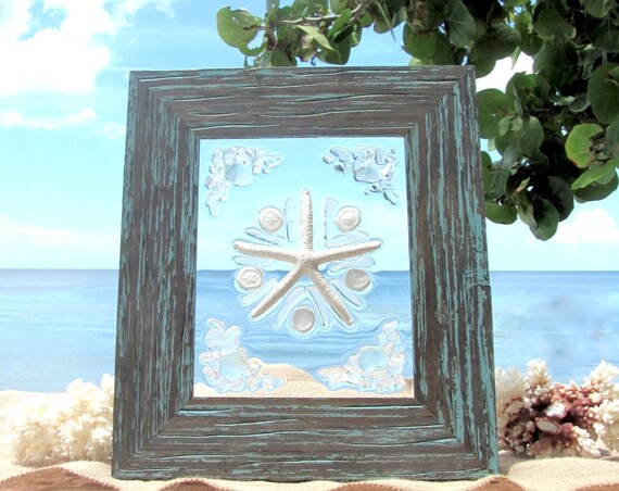 Beach Glass Sea Biscuits and Starfish #95
