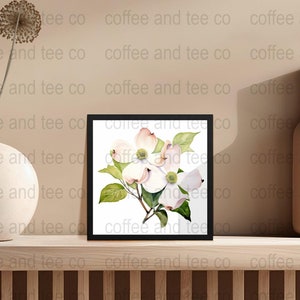 Flowering Dogwood, North Carolina, Watercolor Floral Collection, U.S. State Flowers Inspired - 300 DPI, High-Quality 12x12 PNG Images