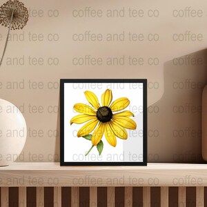 Black-Eyed Susan, Maryland, Watercolor Floral Collection, U.S. State Flowers Inspired - 300 DPI, High-Quality 12x12 PNG Images