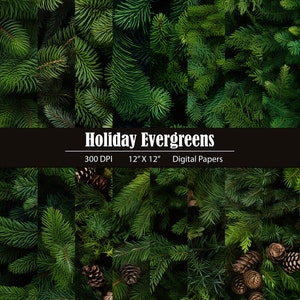 Holiday Evergreens - Photorealistic Digital Paper and Seamless Pattern Pack