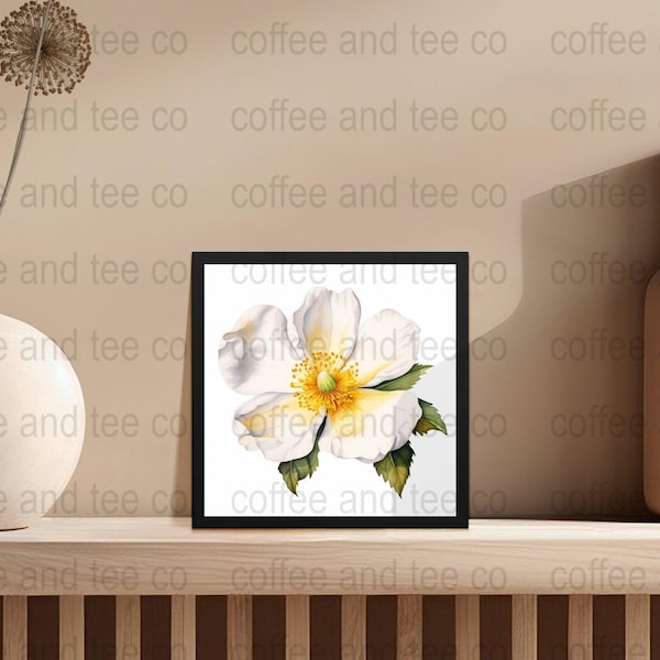 Cherokee Rose, Georgia, Watercolor Floral Collection, U.S. State Flowers Inspired - 300 DPI, High-Quality 12x12 PNG Images