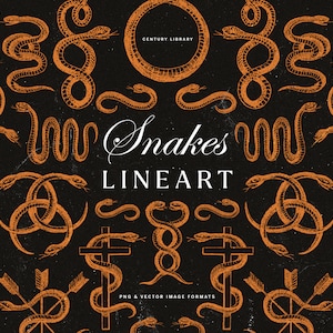 Pacote de ilustração de arte de linha de cobra vintage, conjunto de clipart PNG de serpente, arte de academia escura de bruxaria