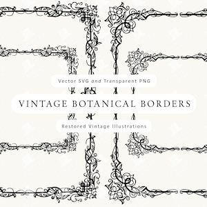 4 cornici decorative vintage rettangolari - Bordi ornamentali in formato PNG e SVG - Set di clipart per progetti di design e uso artigianale
