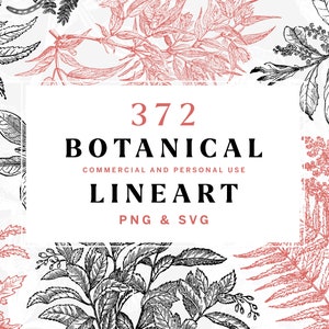 Floral SVG-kunstcollectie, bundel digitale botanische lijnkunst met bladeren, bloemen, planten en meer