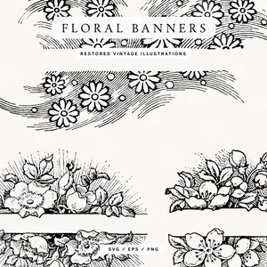 Floral Banner Divider Line Art Illustrations for Wedding Invitations, Logo Design, and more - Clip Art in PNG, SVG, and EPS Formats