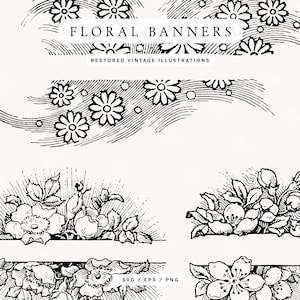 Floral Banner Divider Line Art Illustrations for Wedding Invitations, Logo Design, and more - Clip Art in PNG, SVG, and EPS Formats