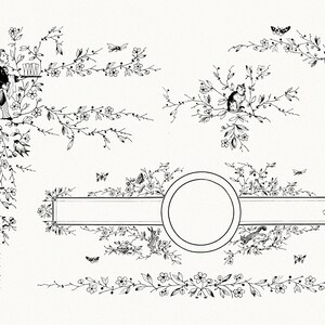 Rustic Nature Line Art SVG and PNG Pack, Vintage Botanical ...