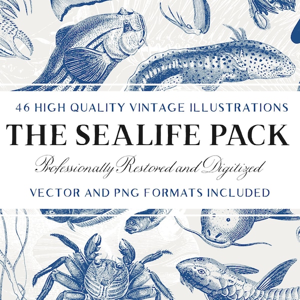 46 Vintage Sealife Illustrations (Vector and Isolated PNG Images Included!) - Nautical Clipart Pack