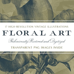 美しく詳細な花のアートワーク (高解像度の透明な PNG 画像) - スクラップブッキング、工芸品などに最適です...