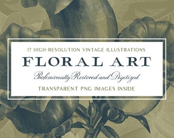 Beautifully Detailed Floral Artwork (High Resoluton Transparent PNG Images) - Perfect for Scrapbooking, Crafts...
