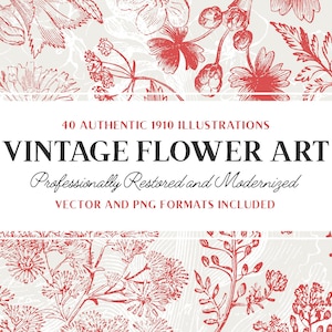 40 種類の花と植物のイラスト Vol.5 (ベクター画像と分離された PNG 画像が含まれています!) - スクラップブッキング、工芸品などに最適です...