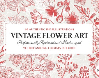 40 Flower & Plant Illustrations Vol.5 (Vector and Isolated PNG Images Included!) - Perfect for Scrapbooking, Crafts...