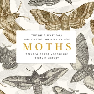 Pack d'illustrations de papillons de nuit vintage, 18 cliparts PNG uniques dans 3 styles - or, contour et original - art insectes pour la création et la conception