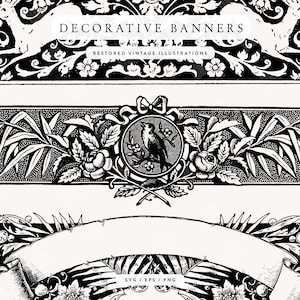 Vintage geïsoleerde ontwerpelementen in SVG-, PNG- en EPS-afbeeldingsindelingen - Ornamental Line Art-illustraties