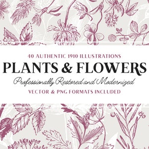 40 Flower & Plant Illustrations Vol.4 (Vector and Isolated PNG Images Included!) - Perfect for Scrapbooking, Crafts...