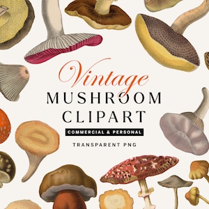Vintage Mushroom PNG Clipart, Przezroczyste PNG Mushroom Illustrations, Zestaw 42