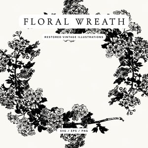 Rustic Chinoiserie Style Floral Wreath Illustration - SVG, EPS, and PNG Formats