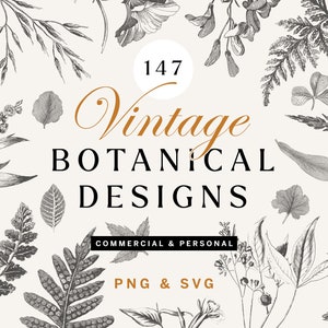 Vintage Botanical Line Art SVG Bundle | Floral SVG & PNG | Trees, Leaves, Flowers and More Illustrations! Commercial Use Included
