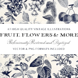 63 Fruit & Flower Illustrations Vol1 (Vector and Isolated PNG Images Included!) - Perfect for Scrapbooking, Crafts...