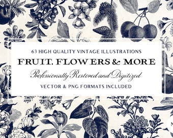 63 Fruit & Flower Illustrations Vol1 (Vector and Isolated PNG Images Included!) - Perfect for Scrapbooking, Crafts...