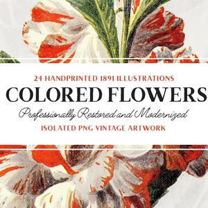 24 gekleurde bloemillustraties - vintage kleurrijke botanische kunst