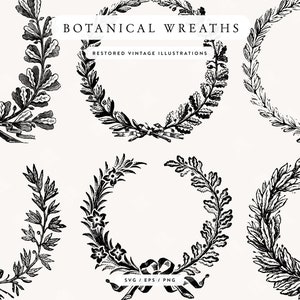Diseños PNG y SVG de coronas de laurel botánicas: recursos de diseño vintage dibujados a mano