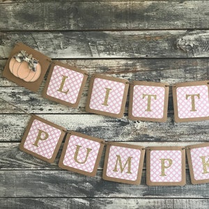 Little pumpkin banner, baby shower pumpkin banner, fall baby shower banner, baby girl banner