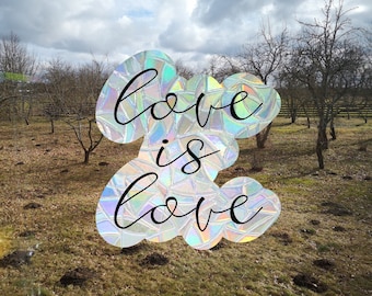 liefde is liefde venster vastklampen, lgbtq venster sticker, regenboog maker, suncatcher voor venster, regenboog suncatcher sticker, regenboog venster vastklampen