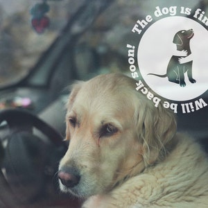 dog in car sticker, locked in dog sign, regulated dog temperature, dog vehicle sticker, warning dog sign, dog is safe sticker