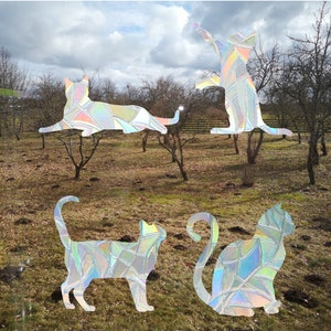 May include: Four iridescent cat silhouettes are displayed against a backdrop of a field with bare trees. The cats are in various poses, including sitting, lying down, and standing on their hind legs.