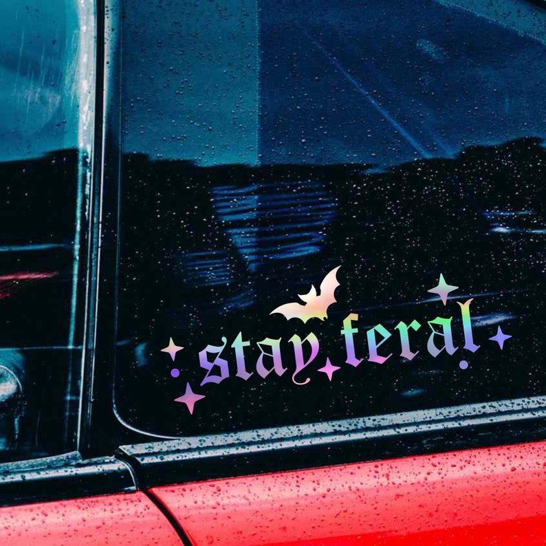 May include: A car window with a holographic sticker that says "stay feral" with a bat and stars.