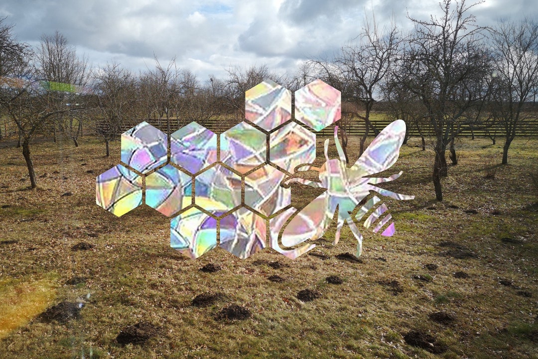 Suncatcher Sticker Honeycomb Bee, Honey Bee Window Decal, Rainbow Maker ...