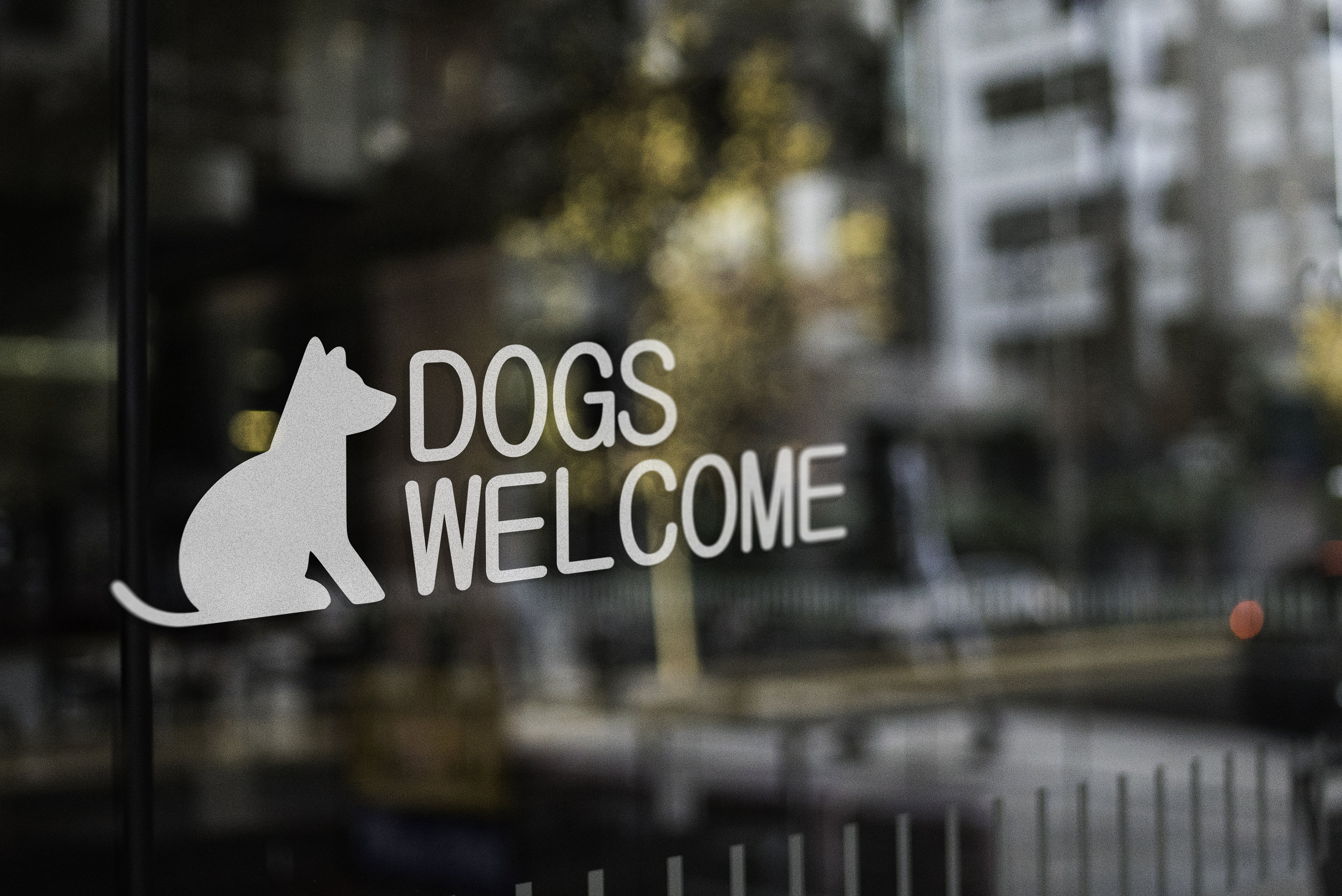 Alluvione, Almo Nature Dona 200mila Pasti Per Cani E Gatti | Qui - Foto 8