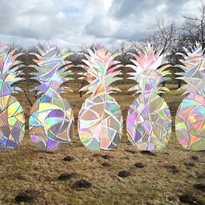 Op de afbeelding: Vijf regenboogkleurige ananasvormige decoraties in een veld. De ananas zijn gemaakt van een helder materiaal met een regenboogachtige glans.